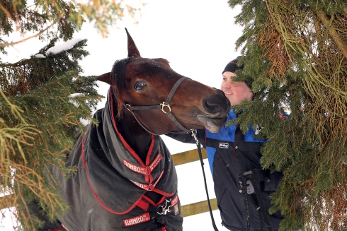 Pär Hedbergs segervana sto Southwind Feji är på söndag tillbaka på banan efter långt uppehåll. Foto av Maria Holmén/TR Bild